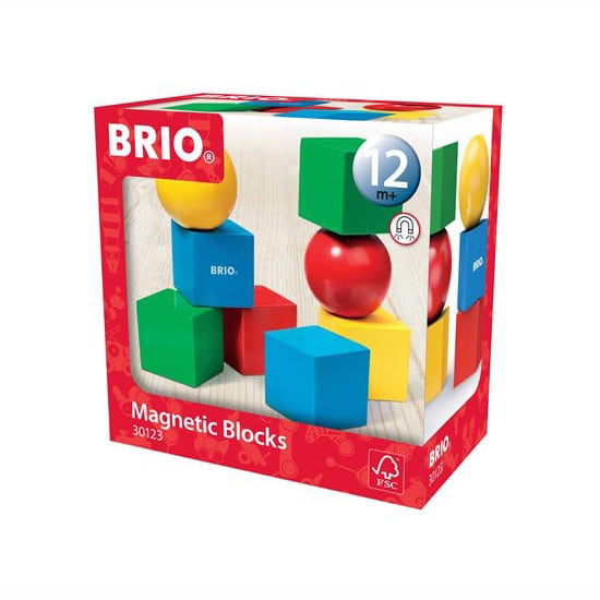 Magnetic Blocks