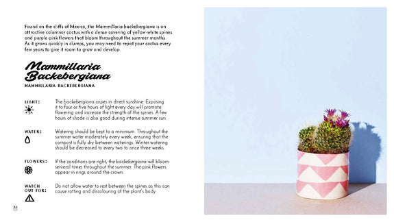 Little Book of Cacti and Other Succulents