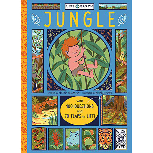 Life On Earth: Jungle: With 100 Questions and 70 Lift-flaps