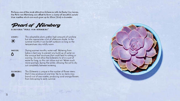 Little Book of Cacti and Other Succulents