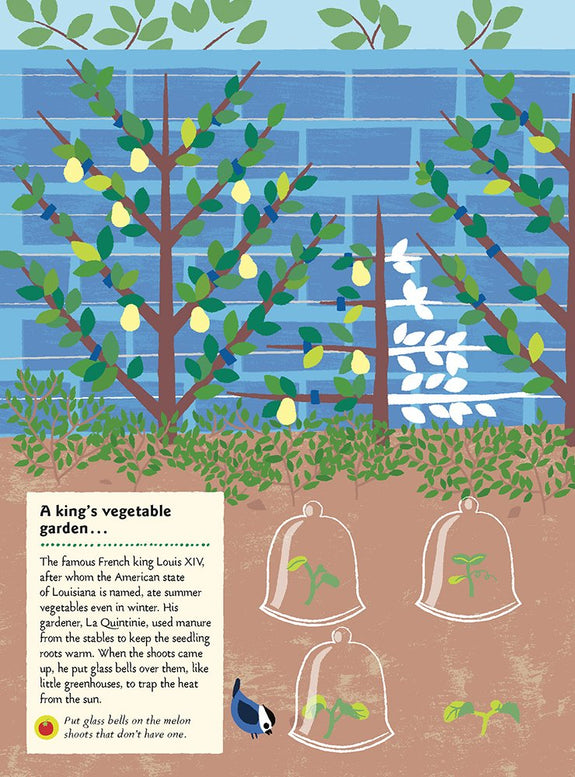 In the Vegetable Garden: My Nature Sticker Activity Book