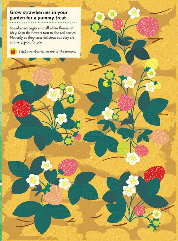 In the Vegetable Garden: My Nature Sticker Activity Book