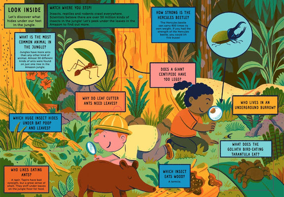 Life On Earth: Jungle: With 100 Questions and 70 Lift-flaps
