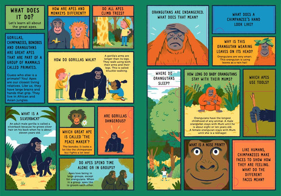 Life On Earth: Jungle: With 100 Questions and 70 Lift-flaps