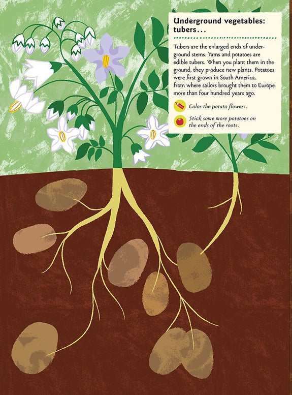 In the Vegetable Garden: My Nature Sticker Activity Book