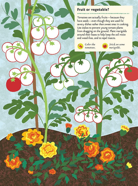 In the Vegetable Garden: My Nature Sticker Activity Book