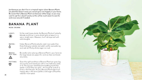 The Little Book of Houseplants and Other Greenery