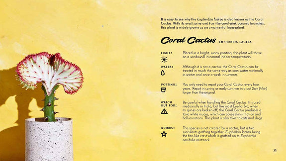 Little Book of Cacti and Other Succulents