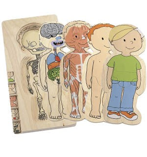 Your Body - Boy - 5 Layer Puzzle