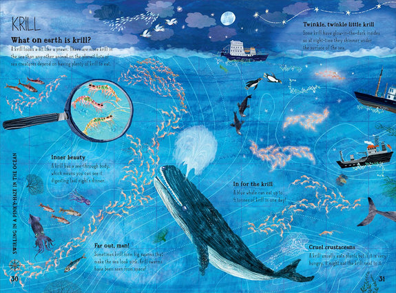The Big Book of Blue by Yuval Zommer