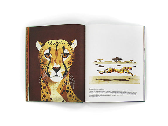 Wild Animals of the South