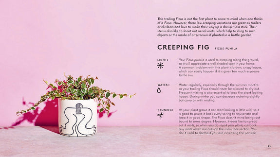 The Little Book of Houseplants and Other Greenery