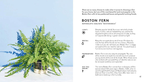 The Little Book of Houseplants and Other Greenery
