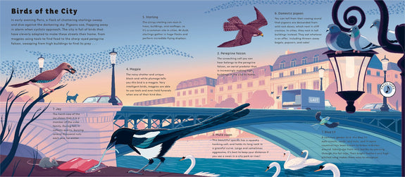 Sounds of Nature: World of Birds