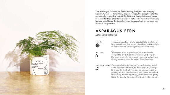 The Little Book of Houseplants and Other Greenery