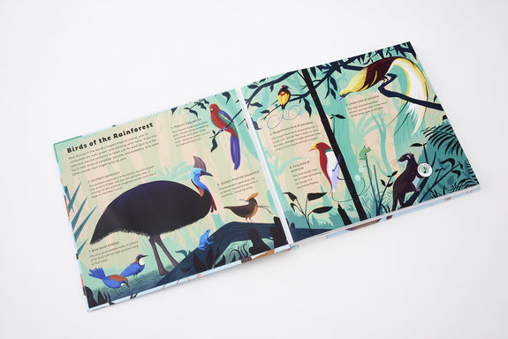 Sounds of Nature: World of Birds