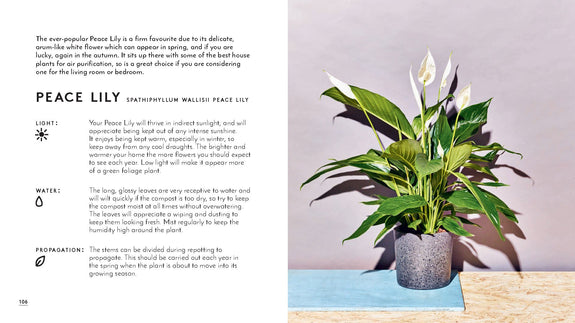 The Little Book of Houseplants and Other Greenery