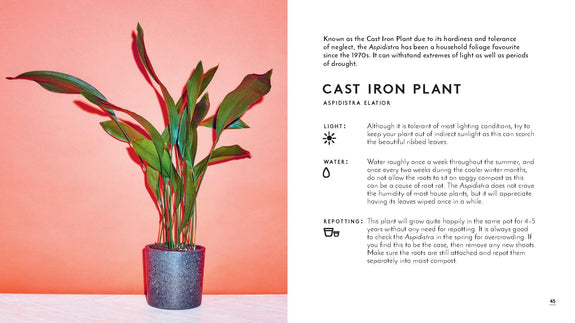 The Little Book of Houseplants and Other Greenery