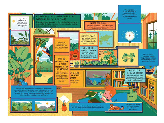 Life On Earth: Jungle: With 100 Questions and 70 Lift-flaps