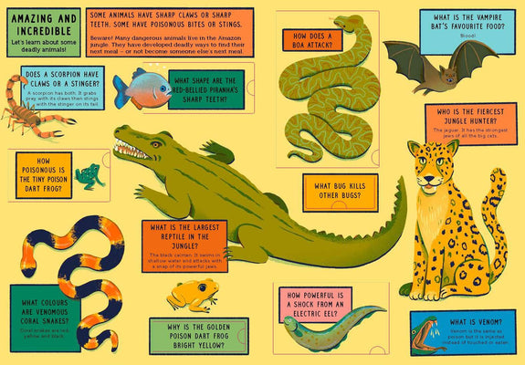 Life On Earth: Jungle: With 100 Questions and 70 Lift-flaps