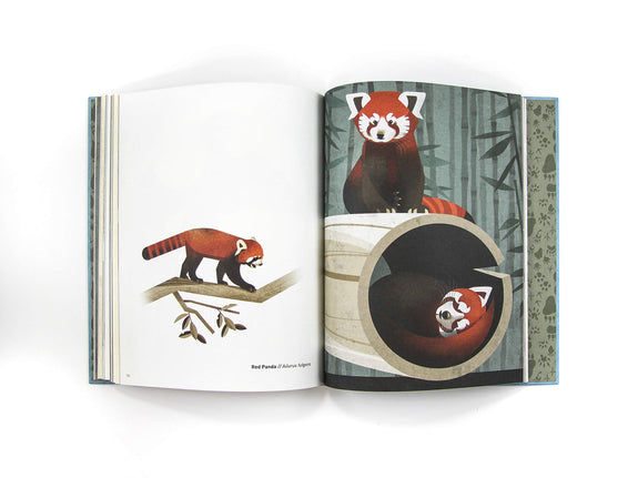 Wild Animals of the North