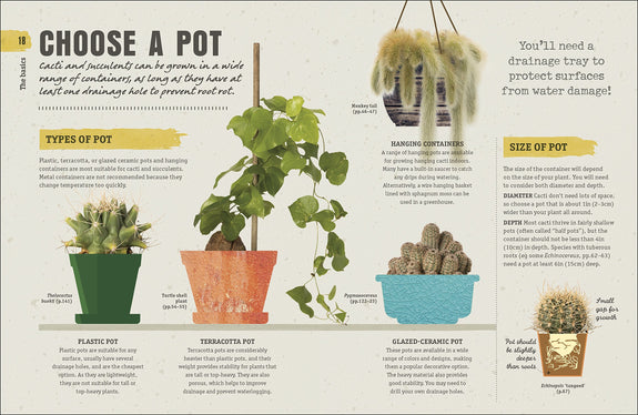 Happy Cactus: Cacti, Succulents, and More