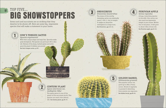 Happy Cactus: Cacti, Succulents, and More