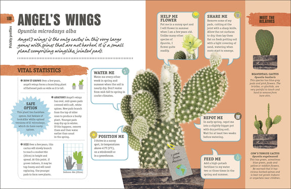 Happy Cactus: Cacti, Succulents, and More