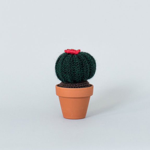 Globe Cactus