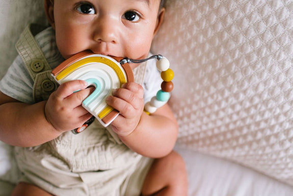 Silicone Teether Holder Set - Neutral Rainbow