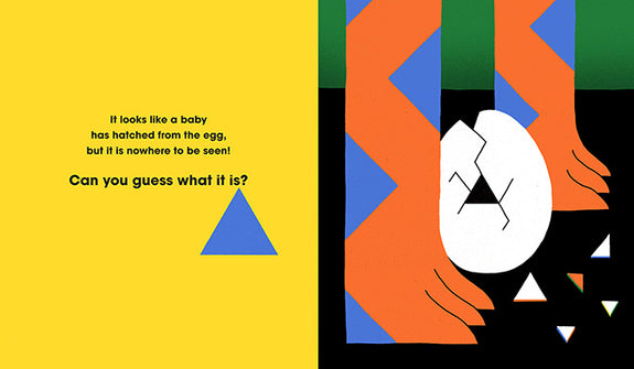 Zoom: An Epic Journey Through Triangles Book